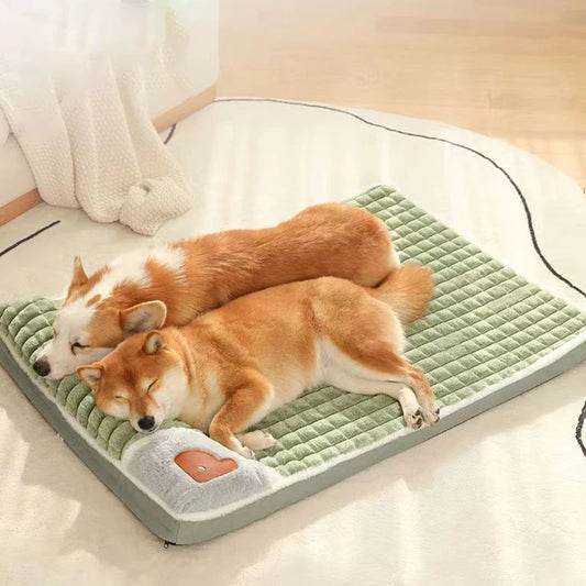 Orthopedic Small Doggy Bed
