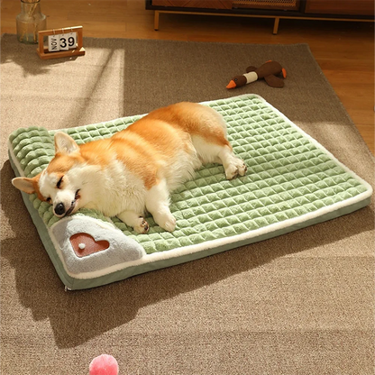 Orthopedic Small Doggy Bed